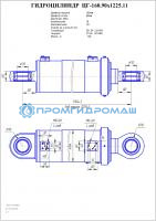 Гидроцилиндр ЦГ-160.90х1225.11
