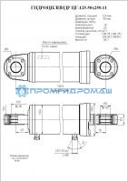 Гидроцилиндр ЦГ-125.50х250.11
