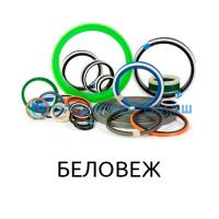 Ремкоплект РК-ЭБП11-110.56/2-П