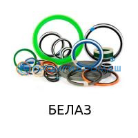 Ремкоплект РК-Белаз7548-125.80/3-БП