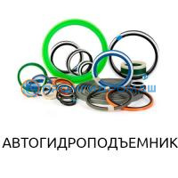 Ремкоплект РК-АГП22-125.70/1-АП