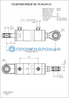 Гидроцилиндр ЦГ-50.30х310.11