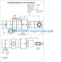 Гидроцилиндр ЦГ-125.100х5000.31