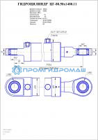 Гидроцилиндр ЦГ-80.50х1400.11