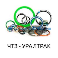 Ремкоплект РК-ПК30-125.70/1б-ЧП