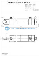 Гидроцилиндр ЦГ-80.40х320.23