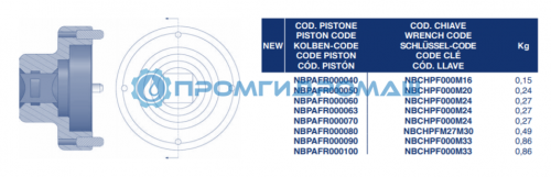 Поршень NBCHPF000M24