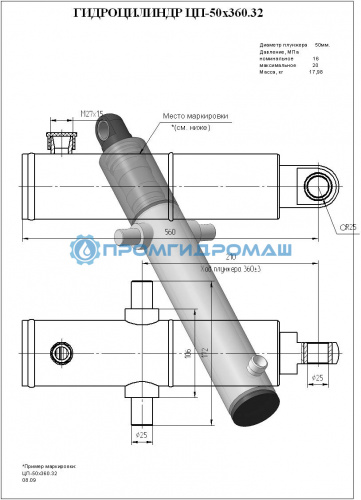 Гидроцилиндр ЦП-50х360.32